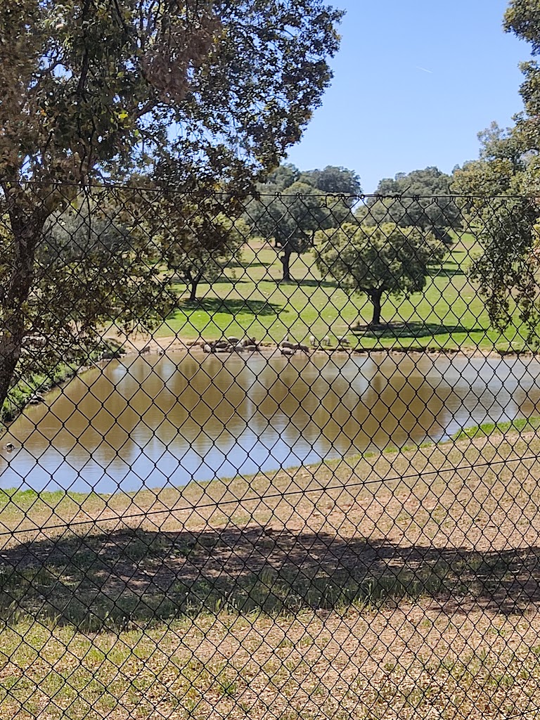 Via Verde de Monfrague (este)