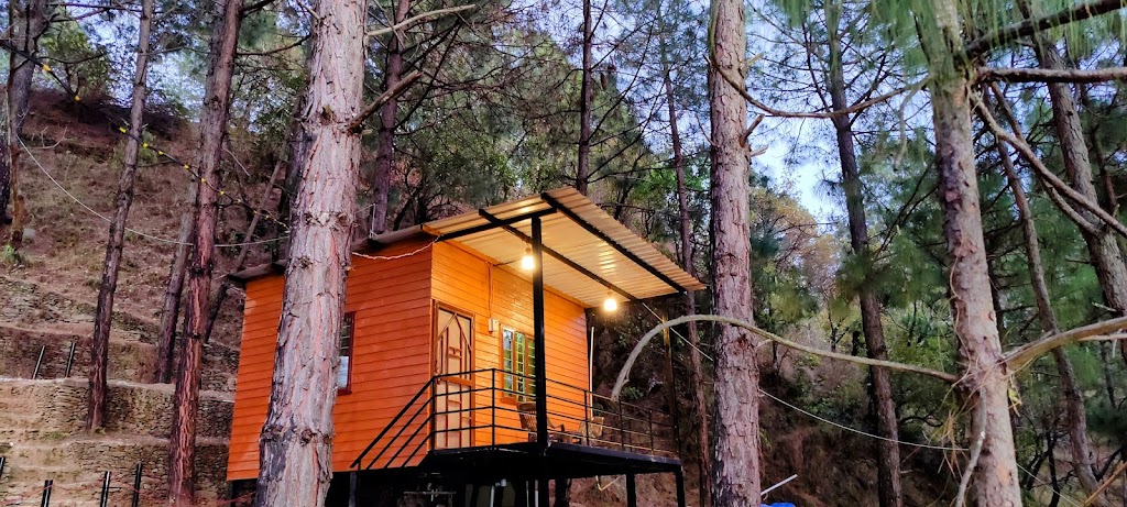 Bugyal Stays Jungle Resort In Uttarakhand