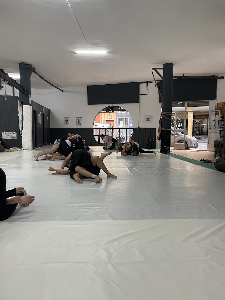 Tropical Squad Bjj