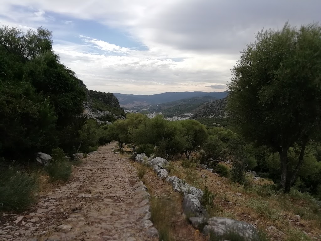 Sendero (Benaocaz - Ubrique)