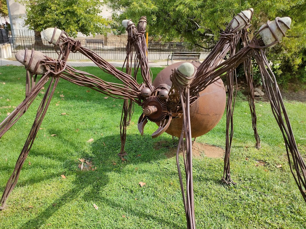 La Arana de la Acequia