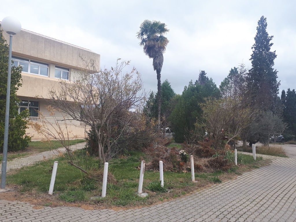 Oficina Delegada de Alcaniz