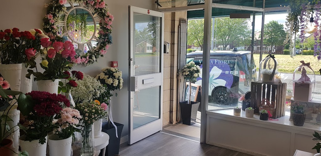 Viola fiore Florist