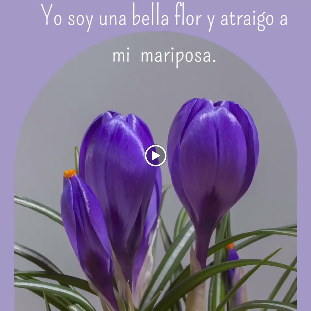 KEILA TAVARES - Terapeuta especialista en autoestima para Mujeres - Mentora y Coach — Videos