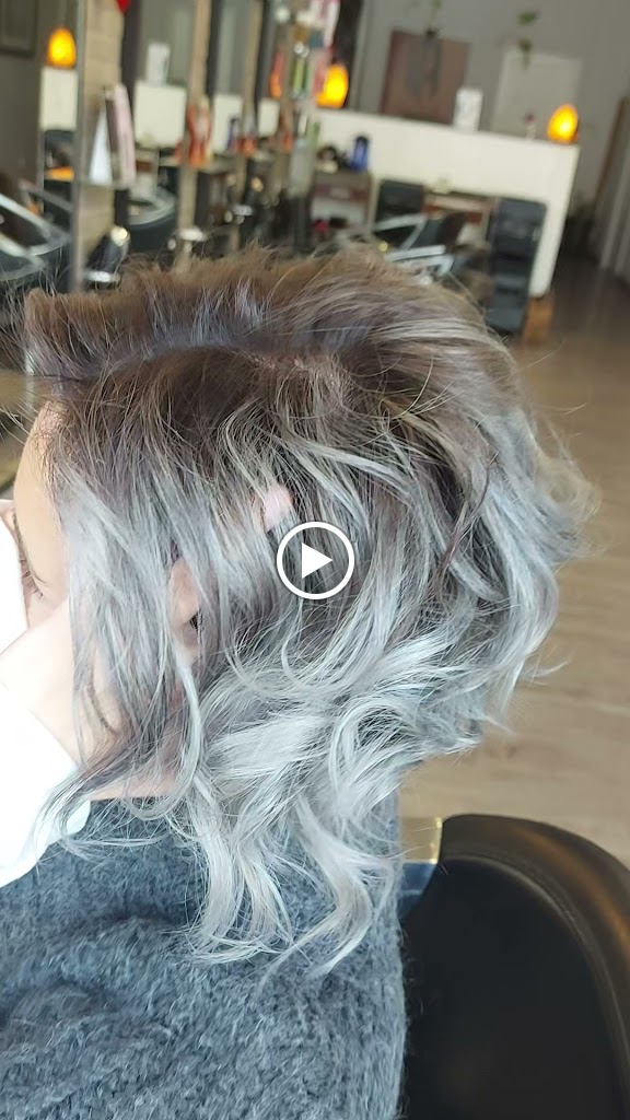 THE GALLERY of beauty