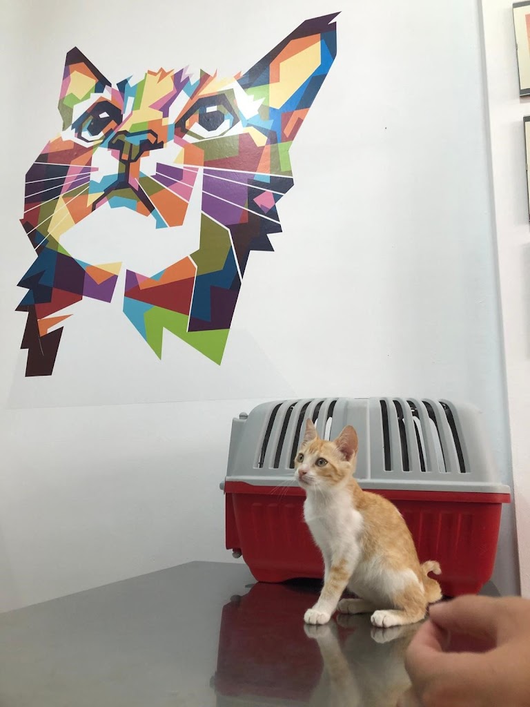 Clinica Veterinaria Aitana