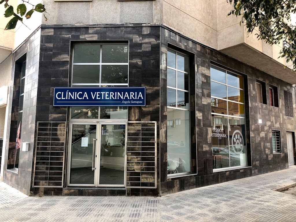 Clinica Veterinaria Oliva. Angela Santapau — Del propietario