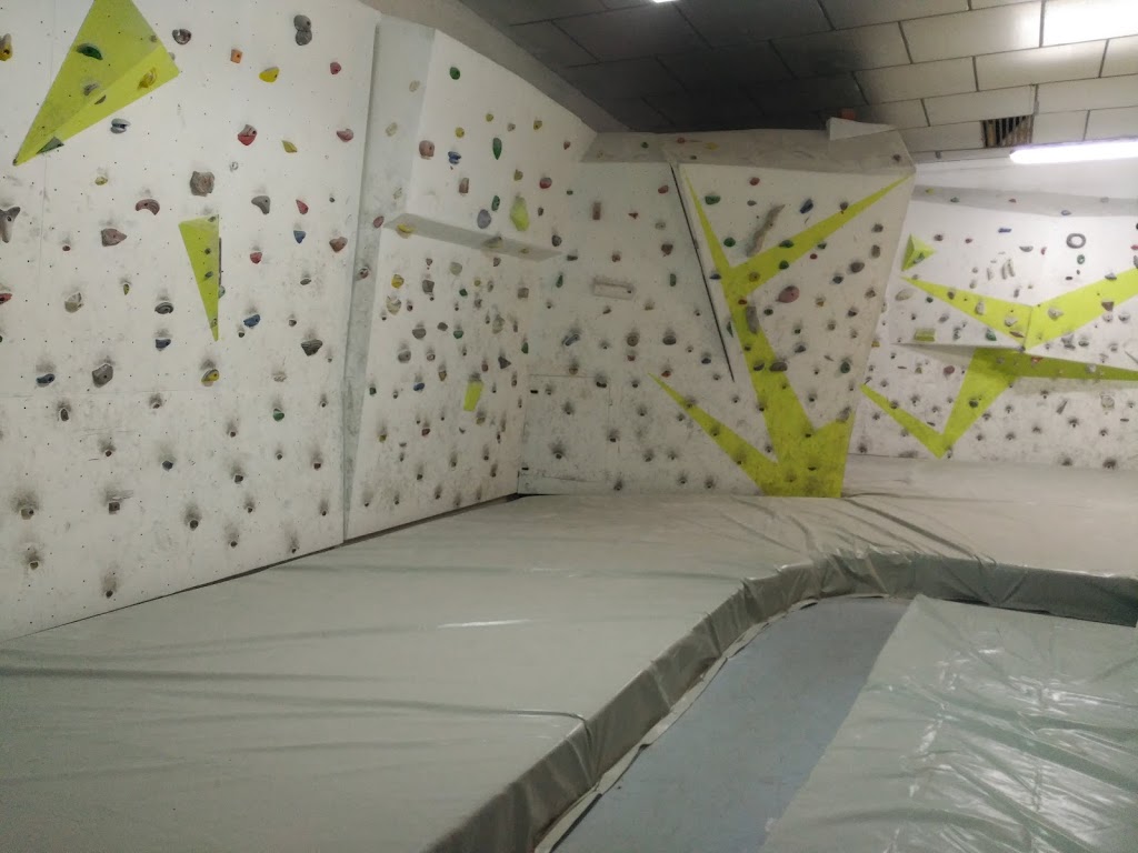 Tecnodromo del Gorila