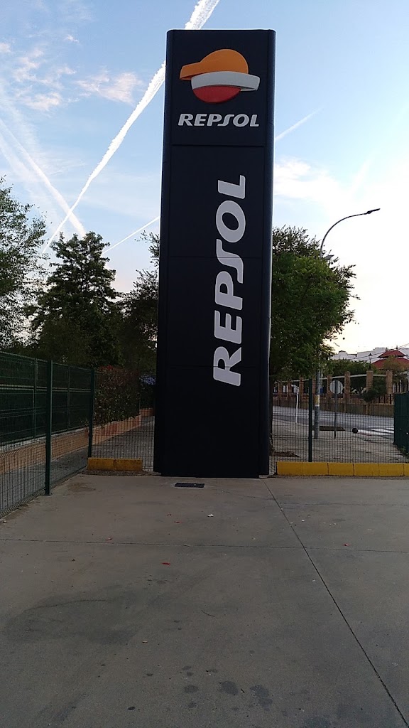 REPSOL E.S.FLORES.S.L. — Del propietario