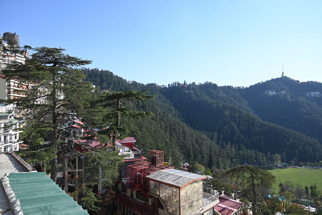 The Cedar Bliss Shimla