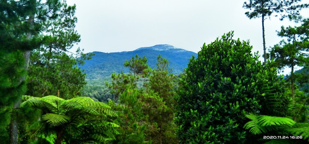 Sewa tenda / alat camping palutungan ANGGER BORANGAN ADVENTURE