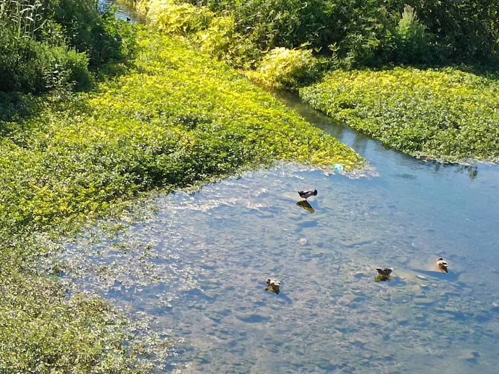 Barranco del Carraixet, rutas por las huertas de Alboraya Ruta 3