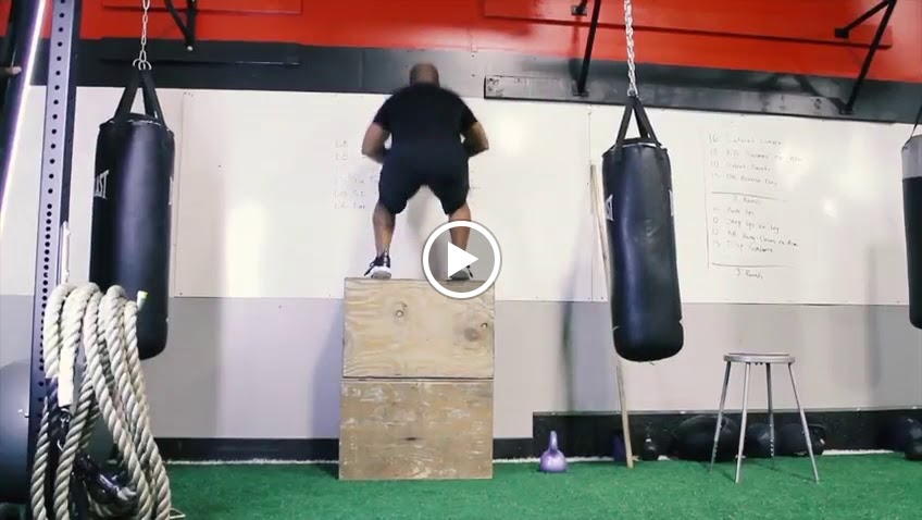  T. Fitness & Wellness