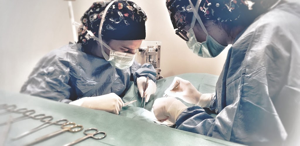 Clinica Veterinaria Mencina