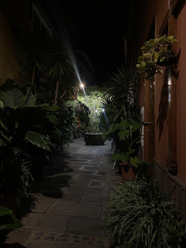 La Cocina — Mas recientes