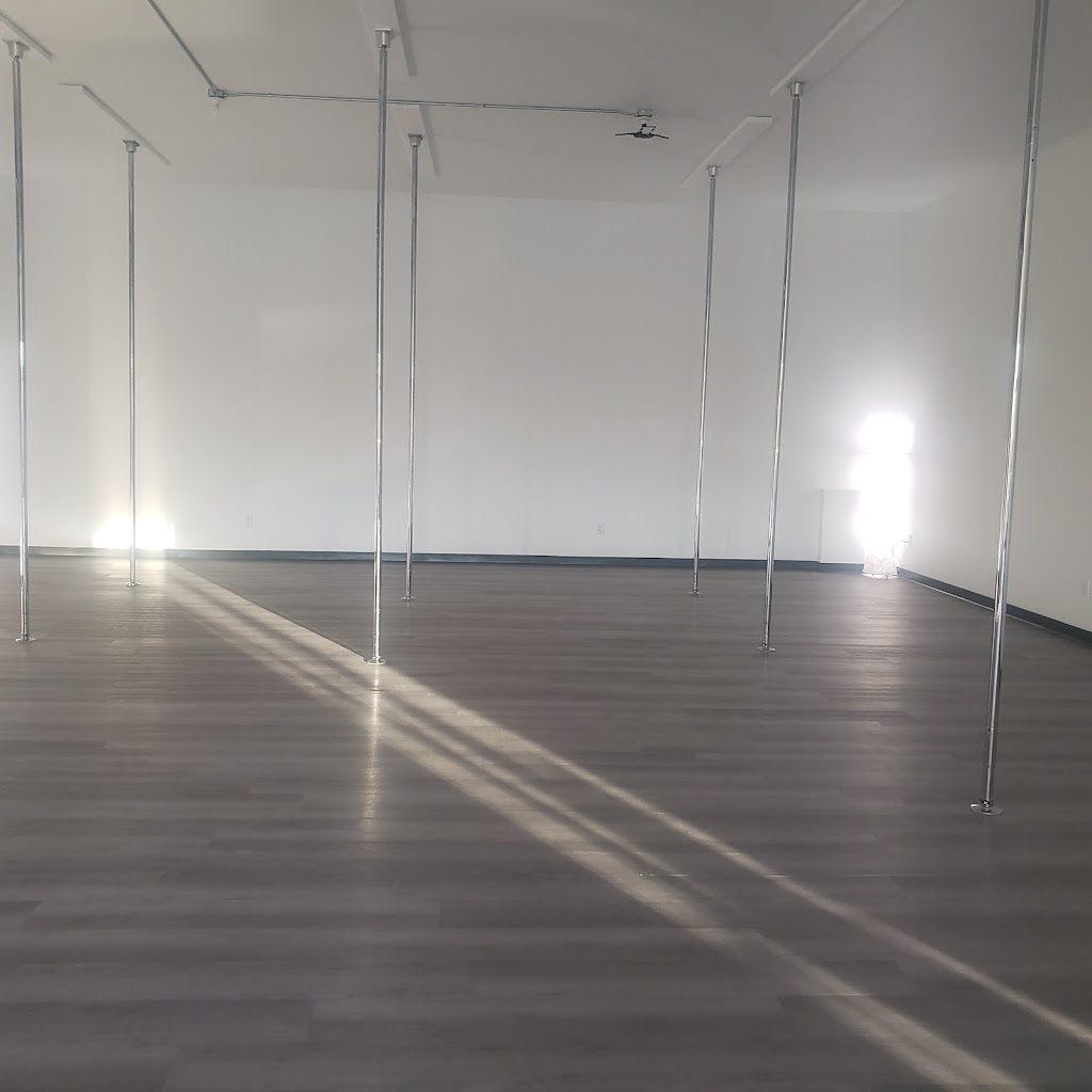  Aerial Elegance Academy