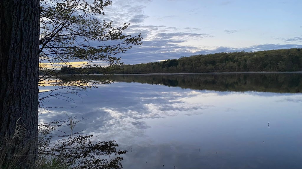  Smith Lake Bar & Grill