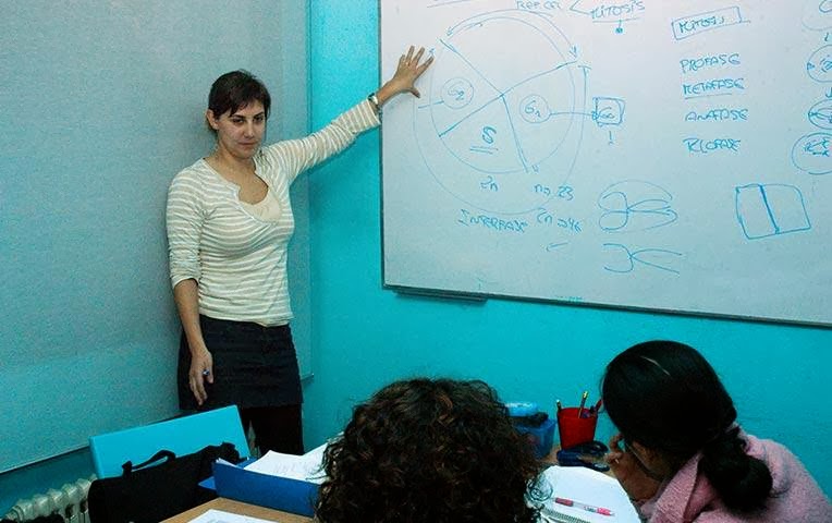 Academia Q7 — Del propietario