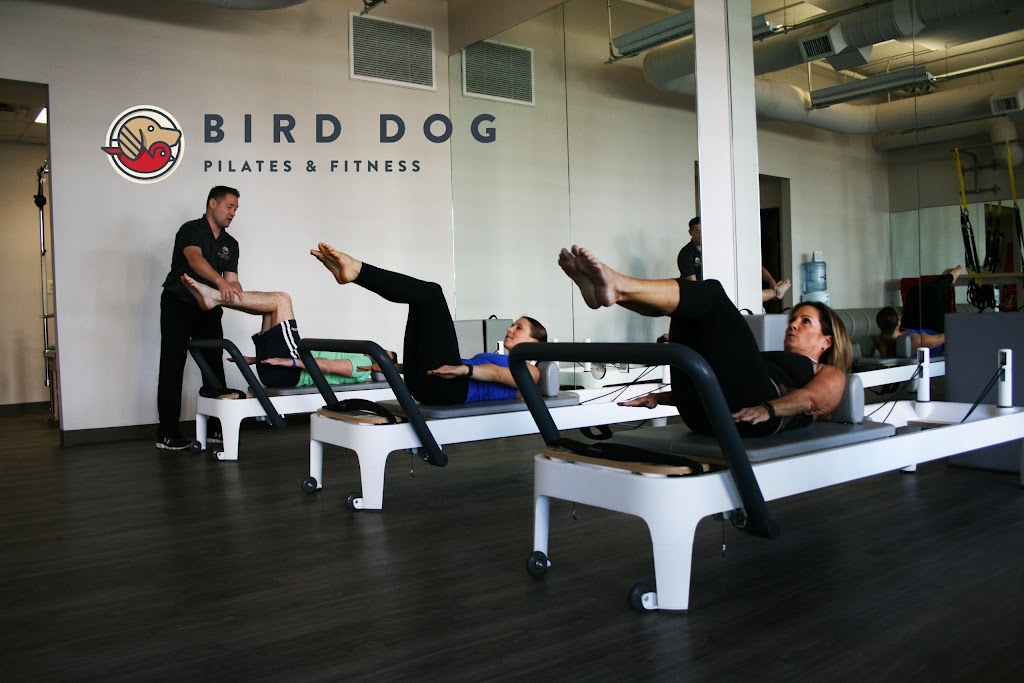  Bird Dog Pilates & Fitness