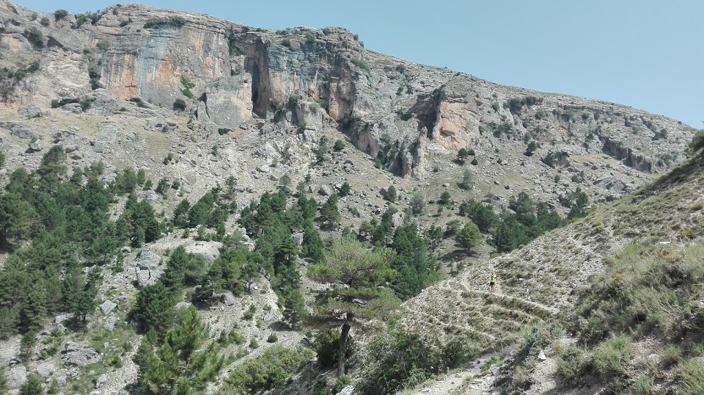 Marce Soto Salud Bienestar