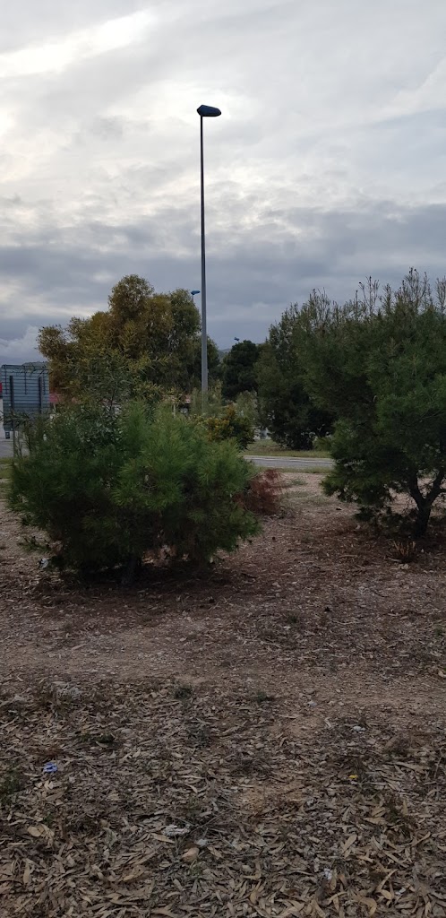 Area de servicio la Marina