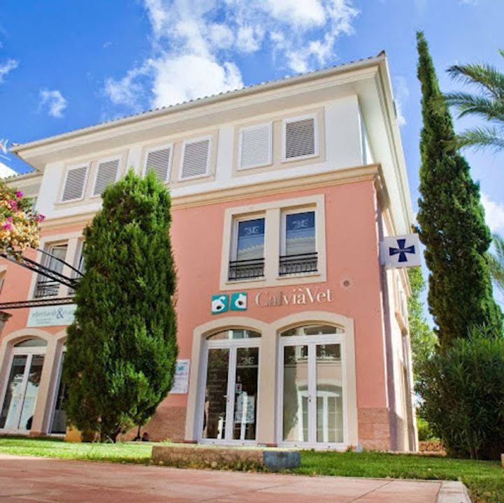 Clinica Veterinaria CalviaVet