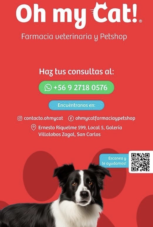 Perro