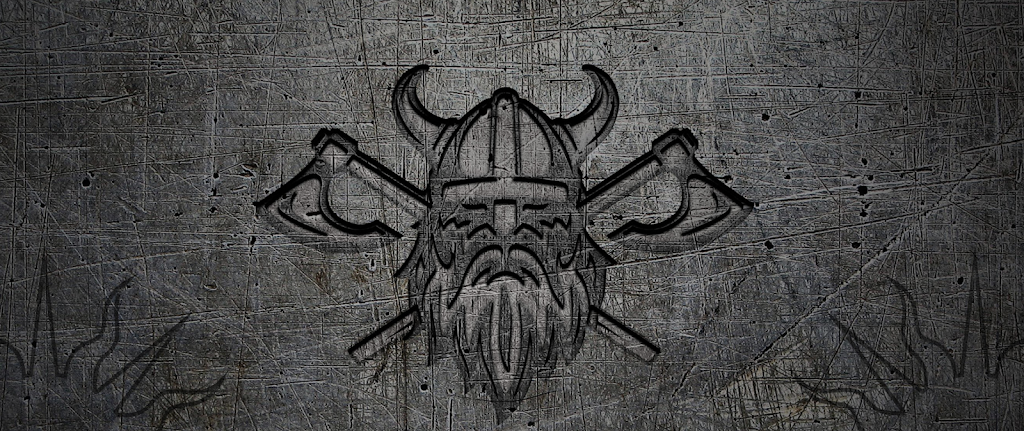 The Viking Lab
