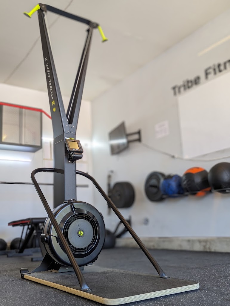 Tribe Fitness
