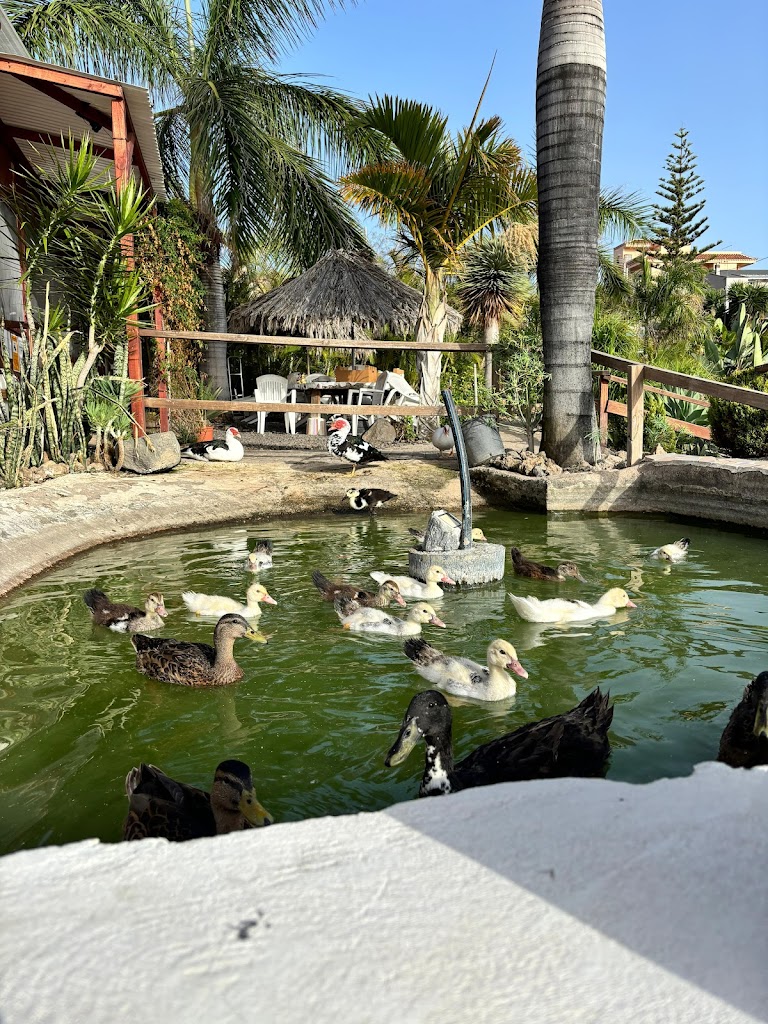 Agro Camping Invernaderito