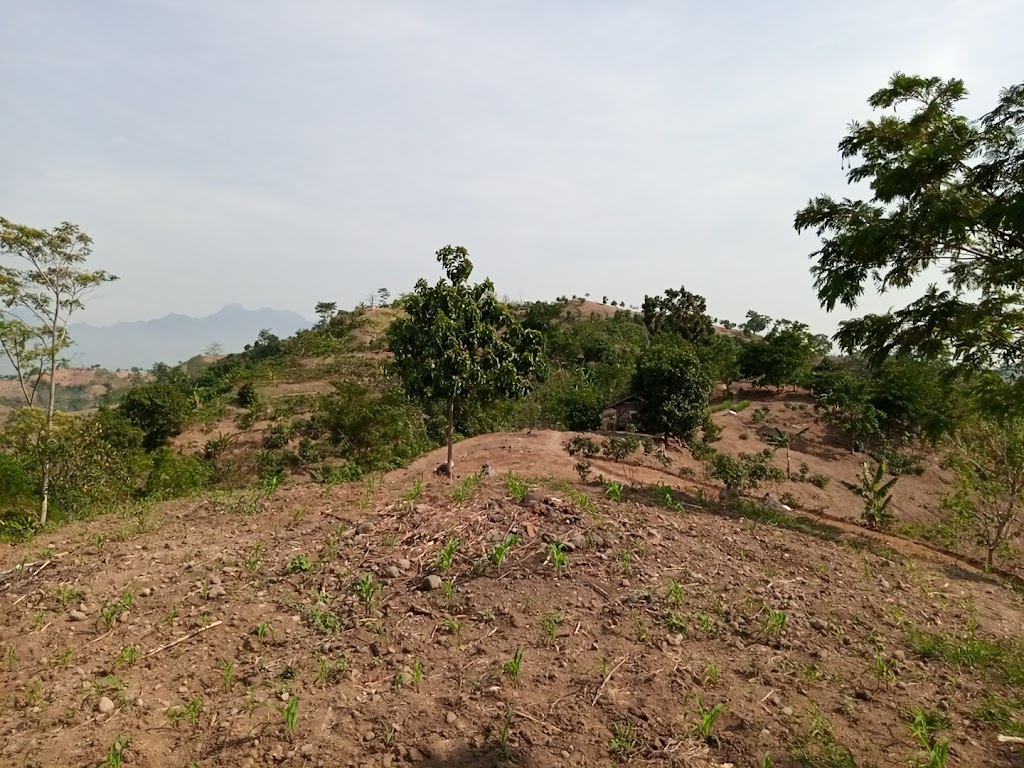 Bukit nganjir camp area