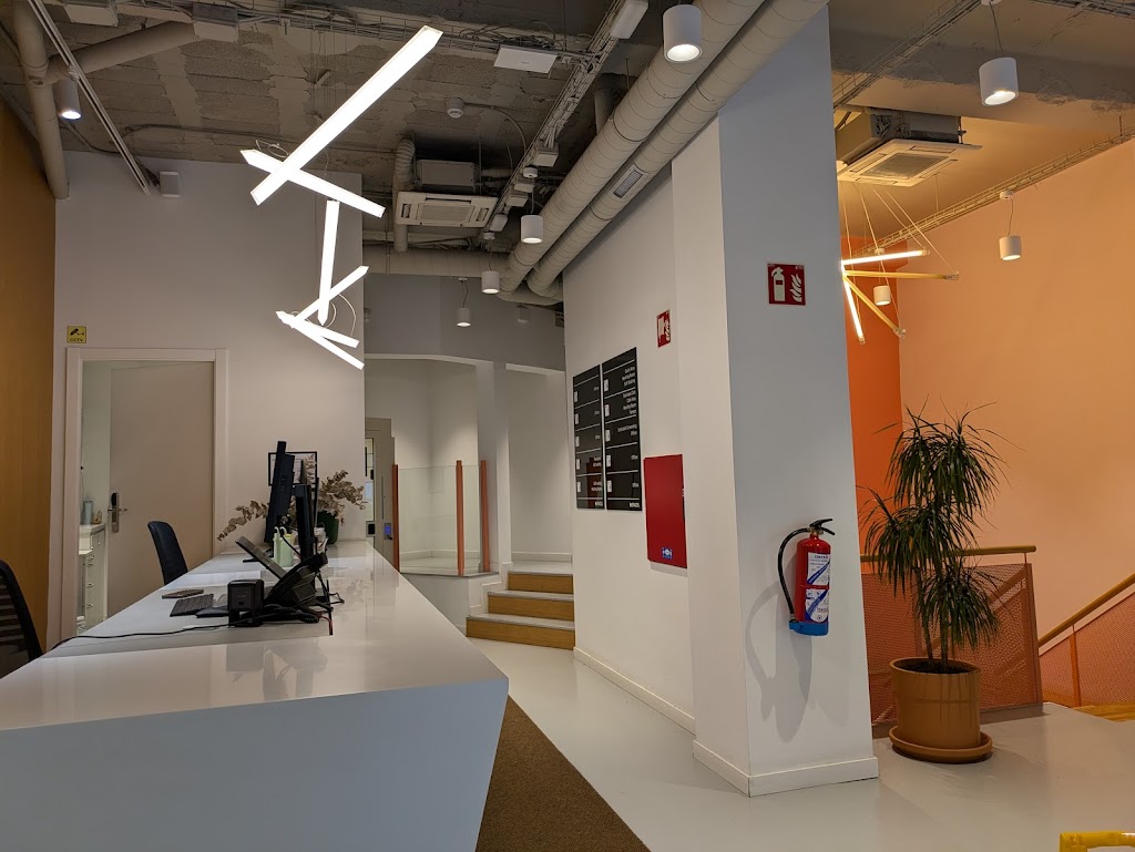 ESL - Idiomas en el Extranjero Bilbao