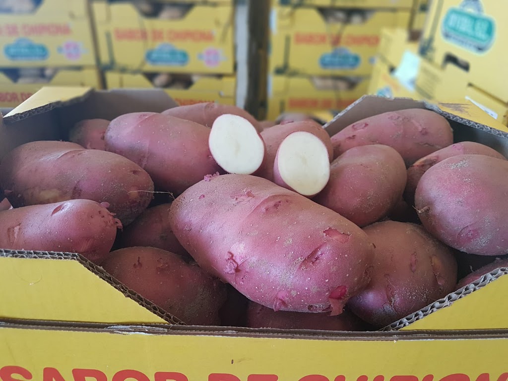 Group Mercado Rivera S.L