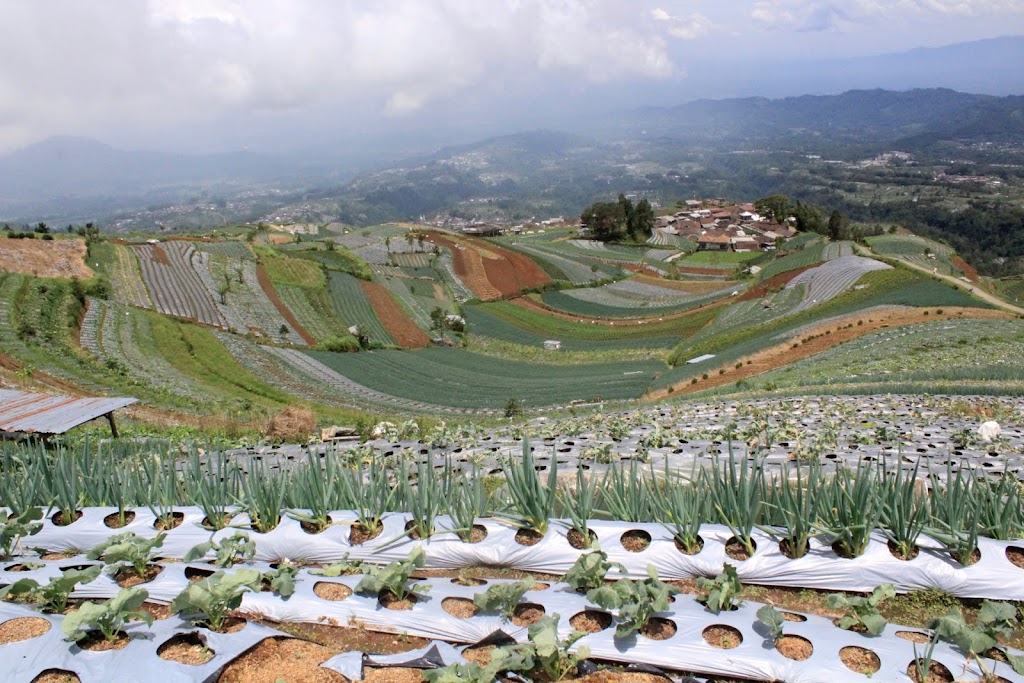 Bumi Perkemahan Pengarengan
