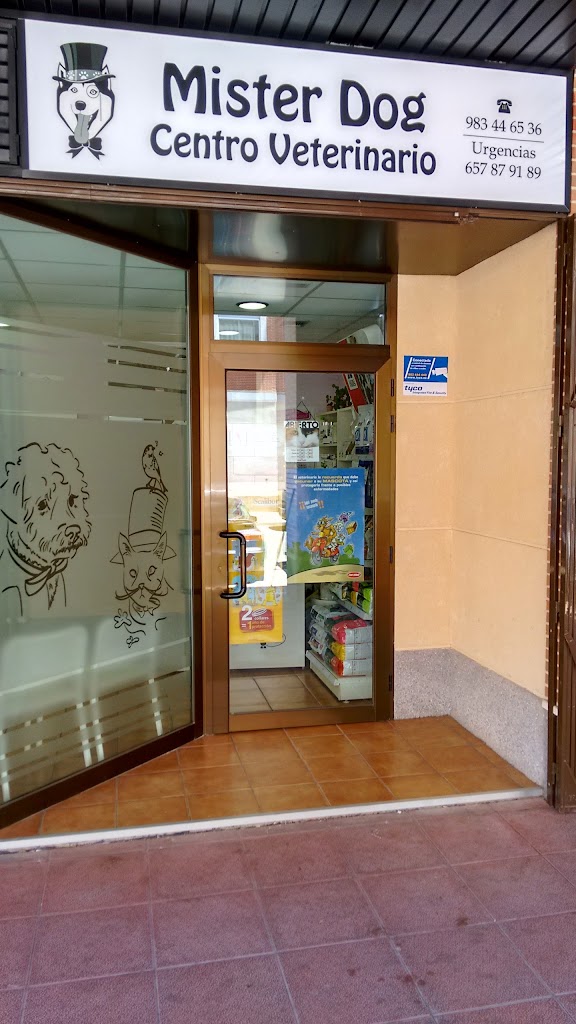 Mister Dog Centro Veterinario — Del propietario