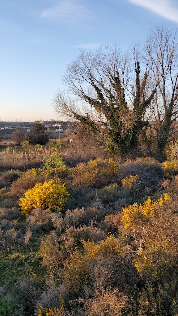 Zona de Paseo La Planilla