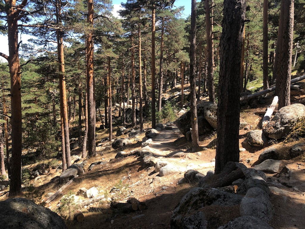 Senda de los Cospes