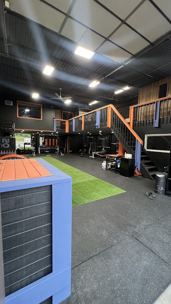  Next Play Performance