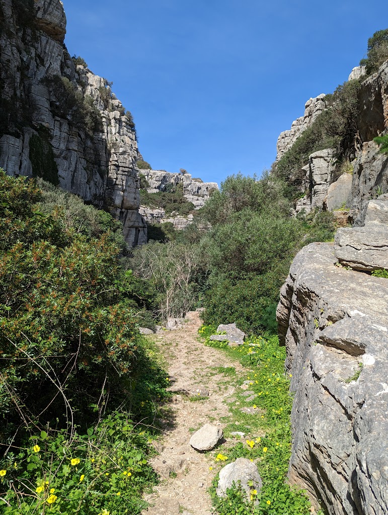 Canuto De La Utrera