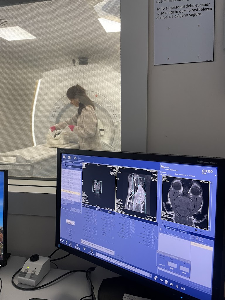 Hospital Veterinari Molins