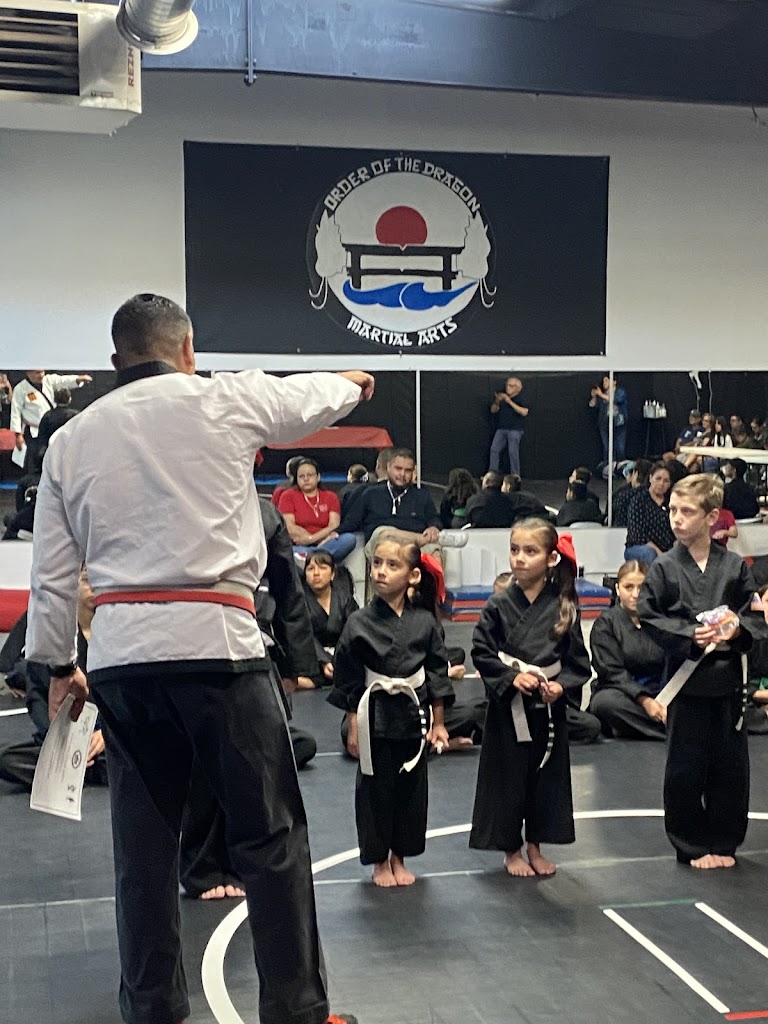  Order Of The Dragon Martial Arts