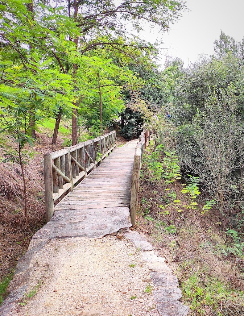 El Forestal de Villaviciosa de Odon