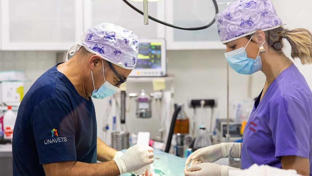 Clinica Veterinaria Etorbide Durango