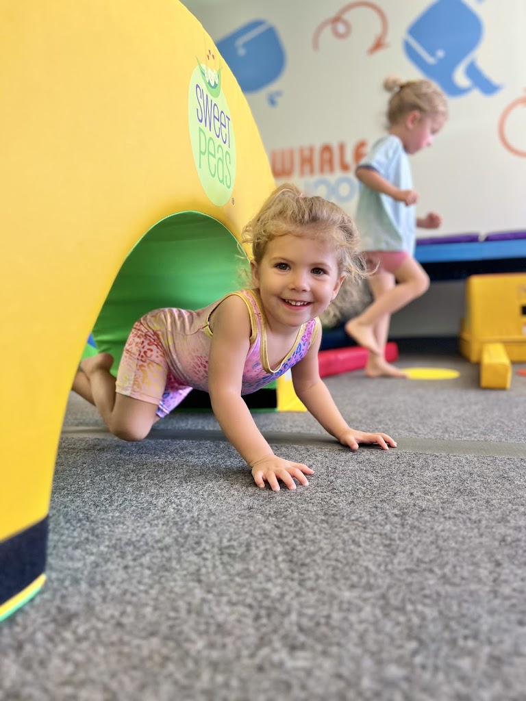  Little Whale Tumble School