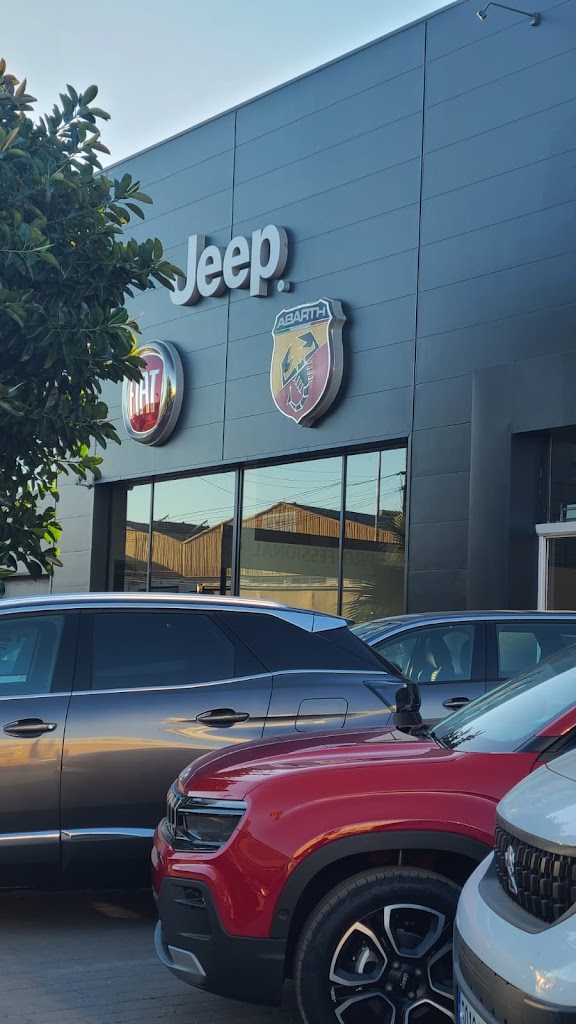 Fiat Alzira - Grupo Palacios