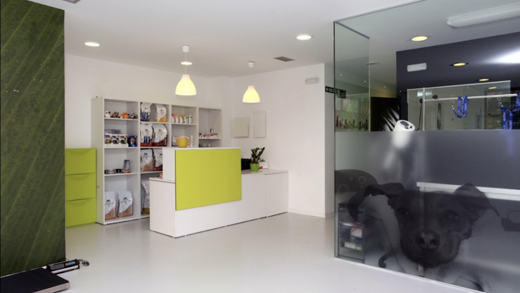 Veterinario en Pamplona | Clinica Veterinaria Nuevo Artica