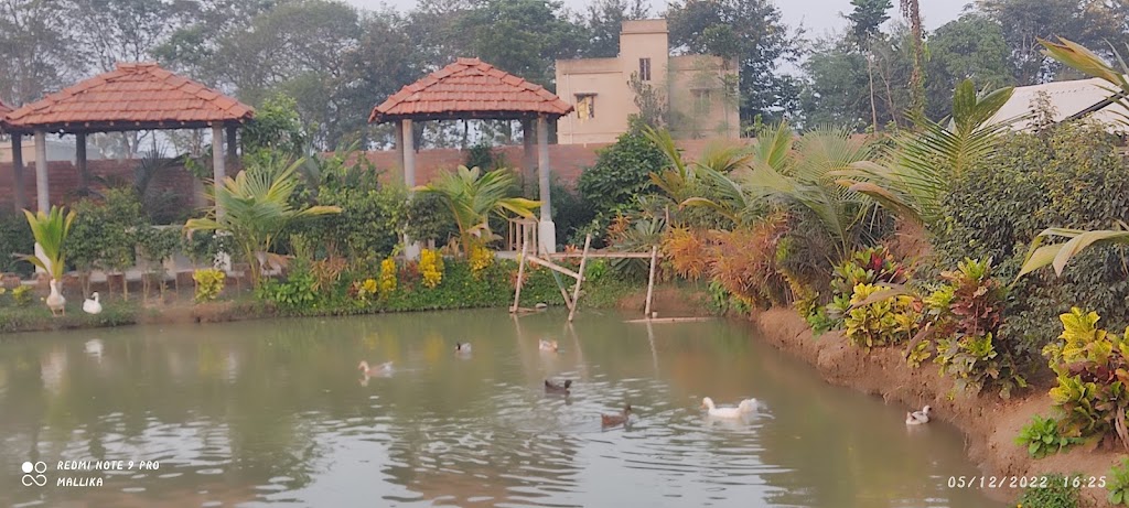 Lake