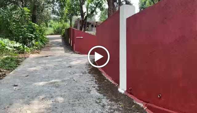 Videos