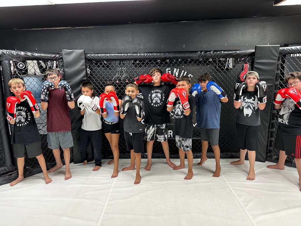  Magnus Mixed Martial Arts