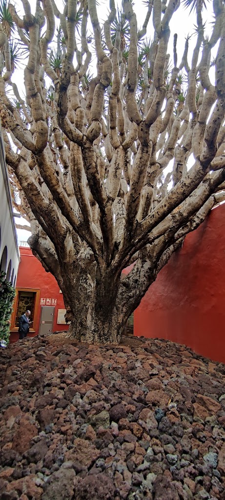 Casas Consistoriales del Ayuntamiento de Galdar